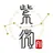 ZiWei AI logo