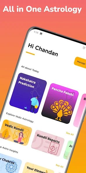 https://vedicrishi.in/kundli screenshot 3